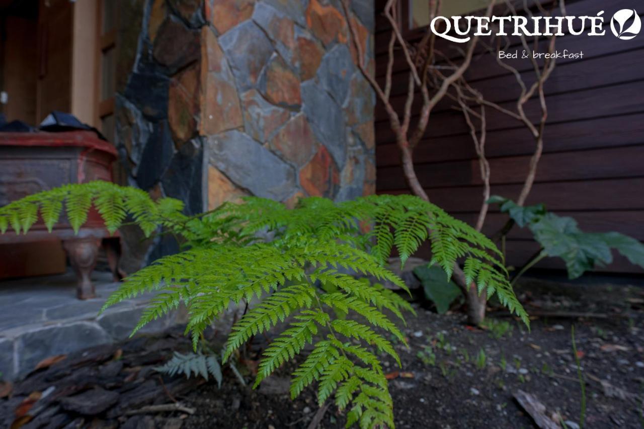 Bed and Breakfast Quetrihue Puerto Varas Exteriér fotografie